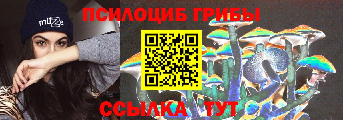 Ликино-Дулёво  Галлюциногенные грибы GOLDEN TEACHER  Вход с VPN  купить наркоту  Псилоцибиновые грибы Cubensis 